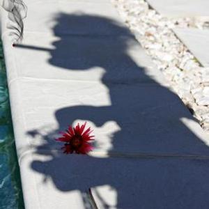 Highly Commended: Simply Irresistible, by Sandra Boles.